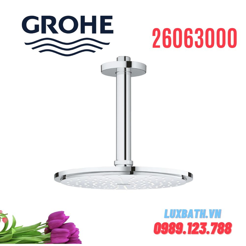 Bát Sen Tắm Gắn Trần + Thanh Nối Đức Grohe 26063000