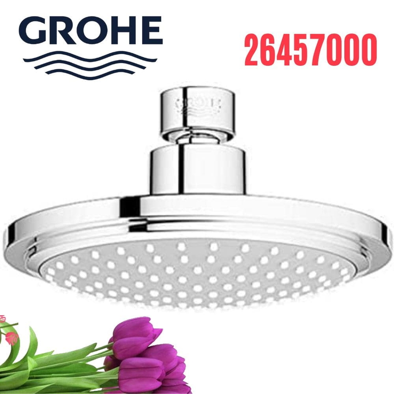 Bát Sen Tắm Gắn Trần Đức Grohe 26457000