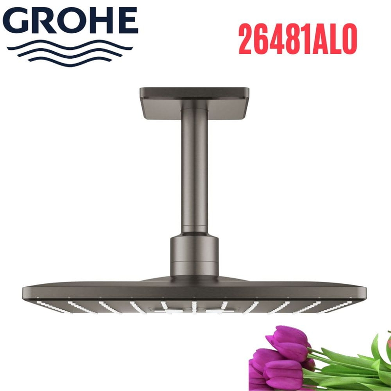 Bát Sen Tắm Gắn Trần Đức Grohe 26481AL0