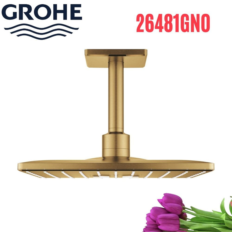 Bát Sen Tắm Gắn Trần Đức Grohe 26481GN0