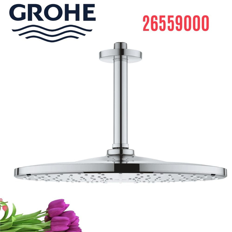 Bát Sen Tắm Gắn Trần Đức Grohe 26559000