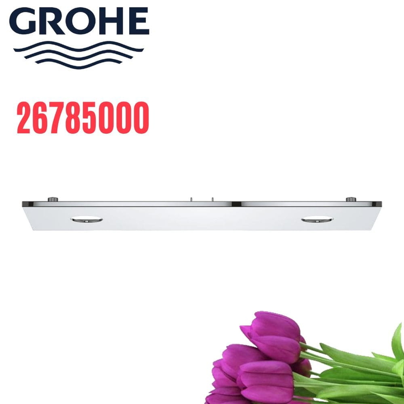 Bát Sen Tắm Gắn Trần Đức Grohe 26785000