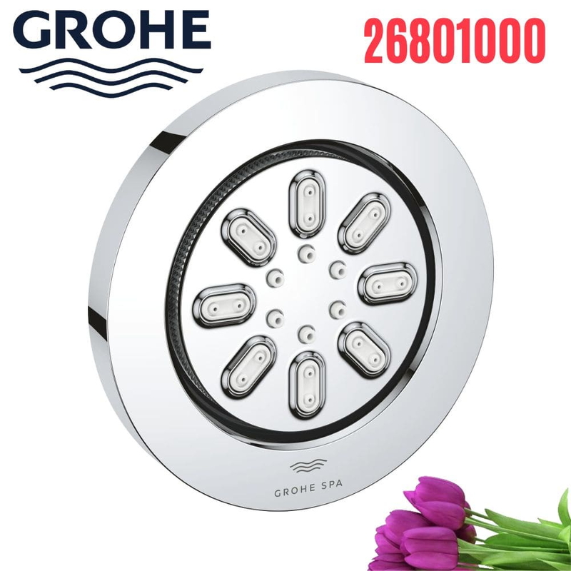 Bát Sen Tắm Gắn Trần Đức Grohe 26801000