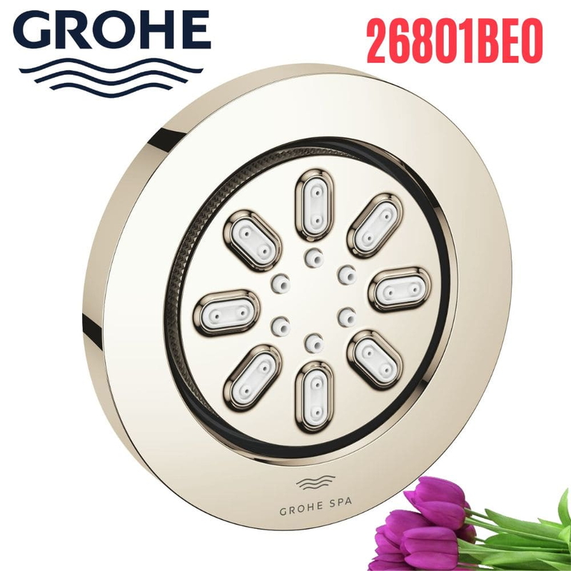 Bát Sen Tắm Gắn Trần Đức Grohe 26801BE0