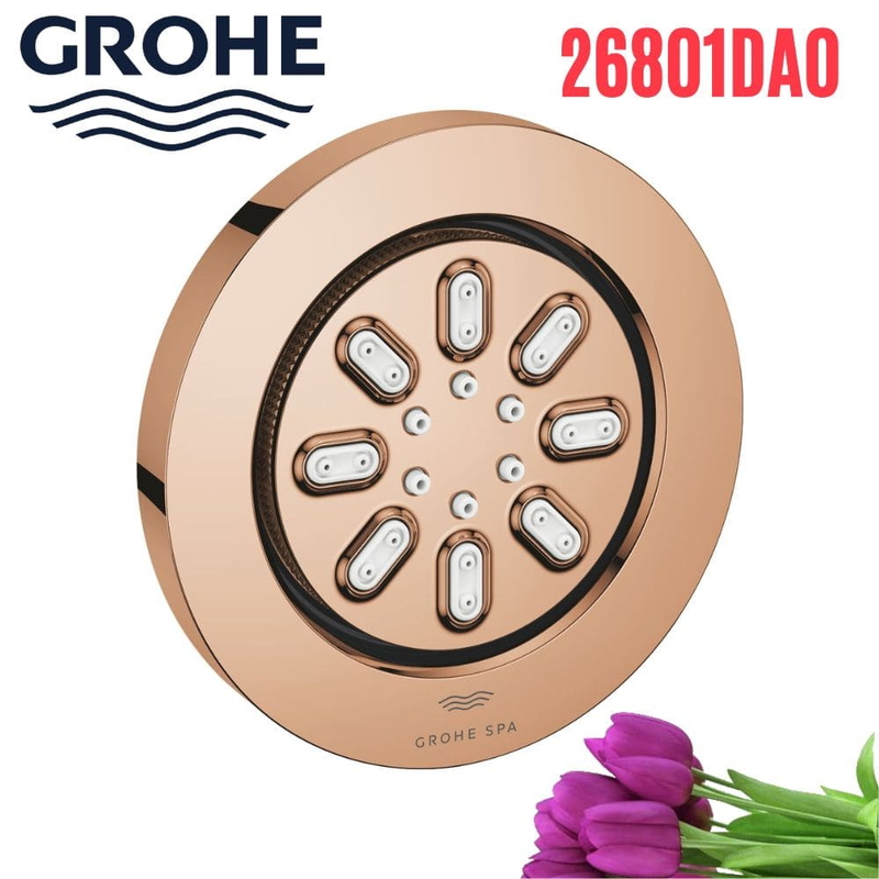 Bát Sen Tắm Gắn Trần Đức Grohe 26801DA0