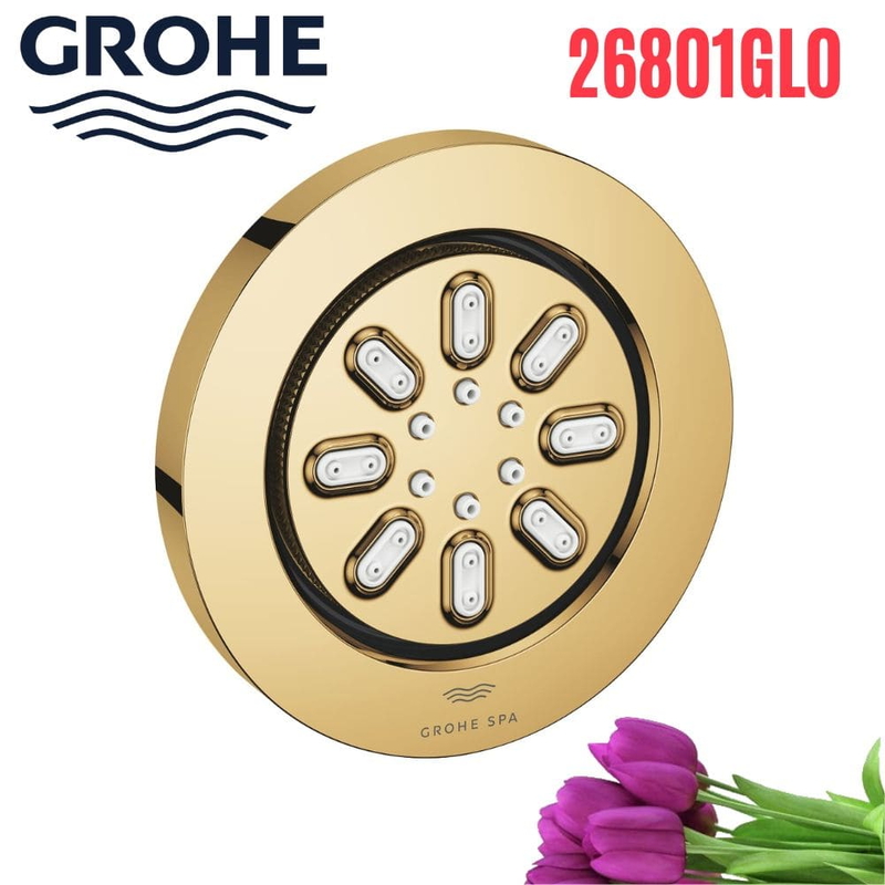 Bát Sen Tắm Gắn Trần Đức Grohe 26801GL0