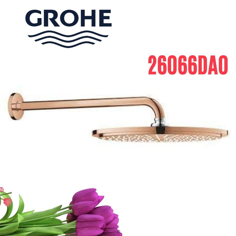 Bát Sen Tắm Gắn Tường Đức Grohe 26066DA0