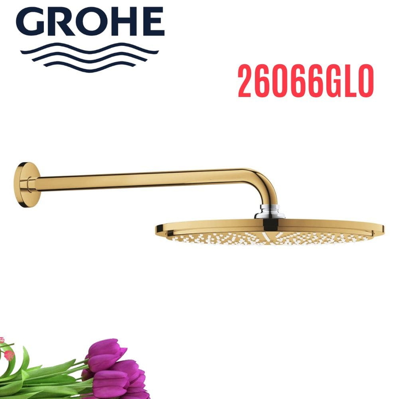 Bát Sen gắn tường Đức Grohe 26066GL0