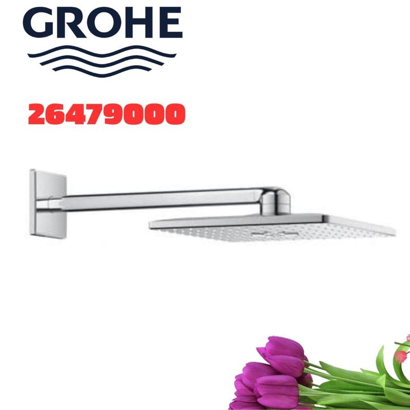 Bát Sen Tắm Gắn Tường Đức Grohe 26479000