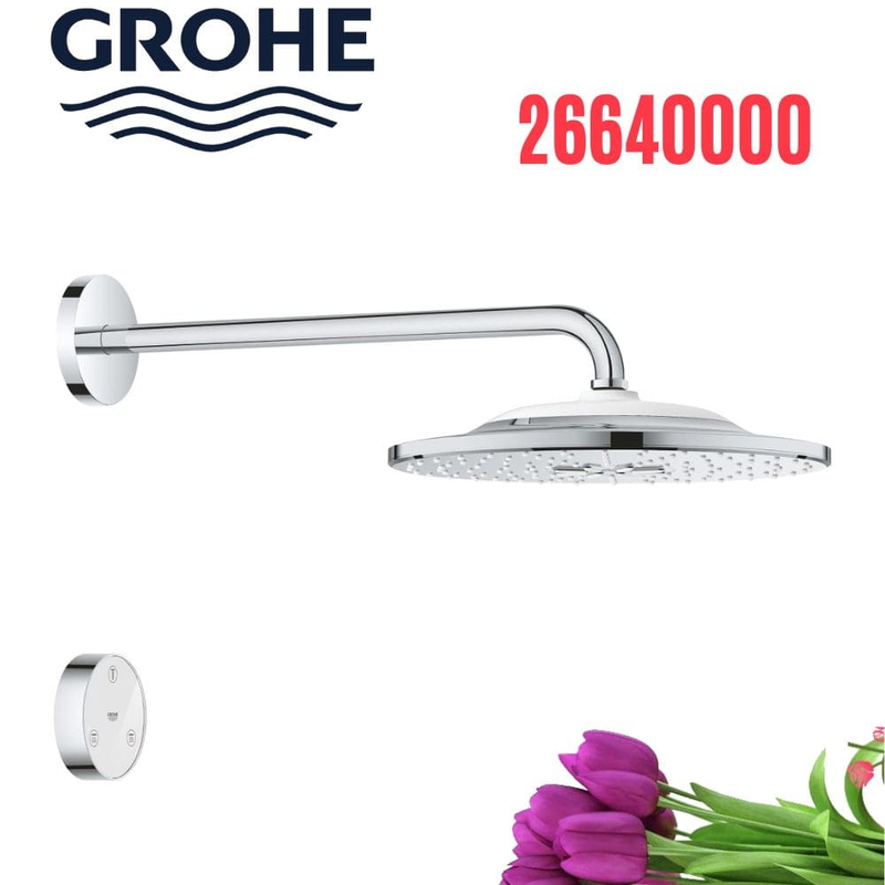 Bát Sen Tắm Gắn Tường Đức Grohe 26640000