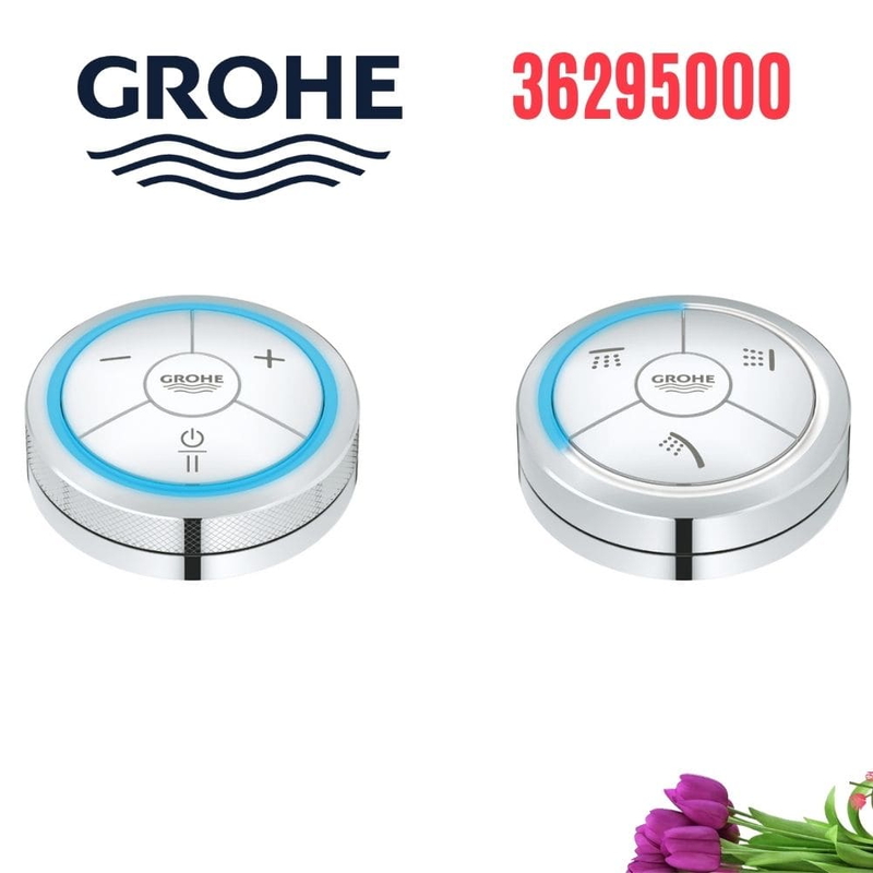 Bộ Chuyển Kỹ Thuật Số Vòi Sen Grohe 36295000
