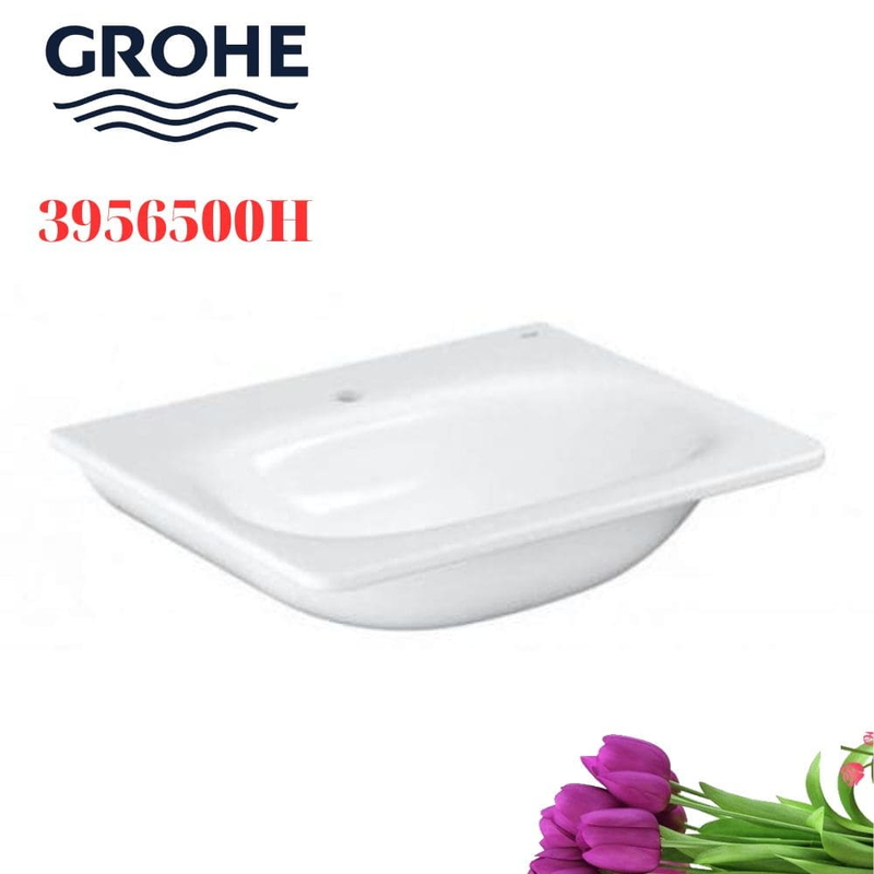 Chậu rửa lavabo Grohe 3956500H dương vành