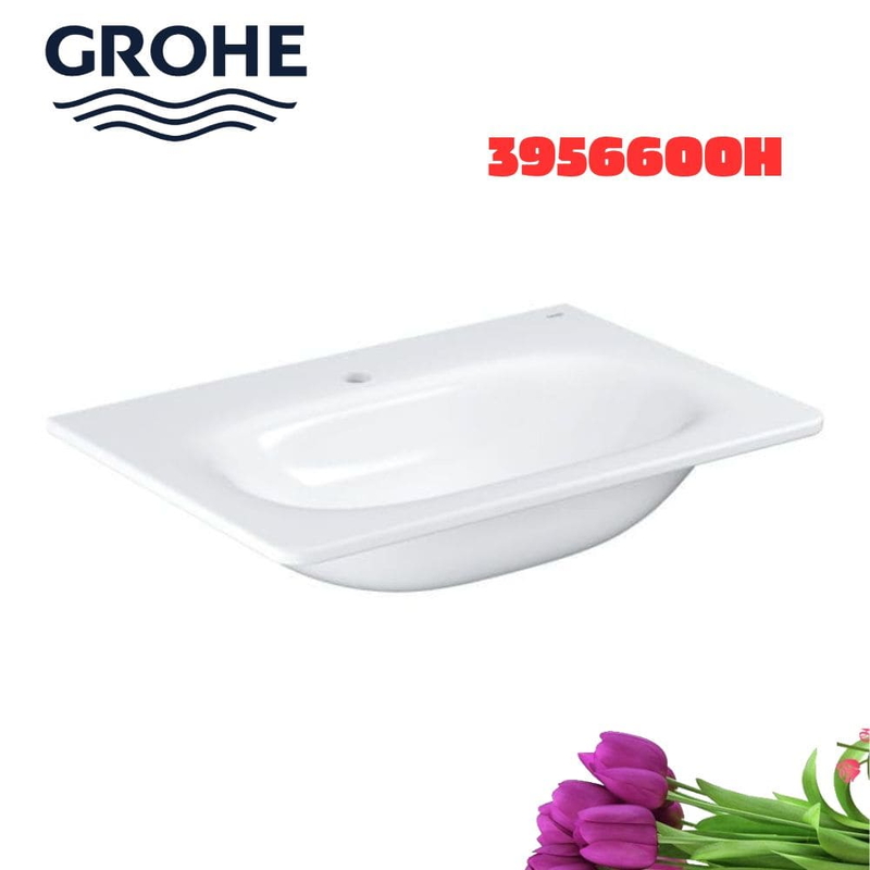 Chậu rửa lavabo Grohe 3956600H dương vành