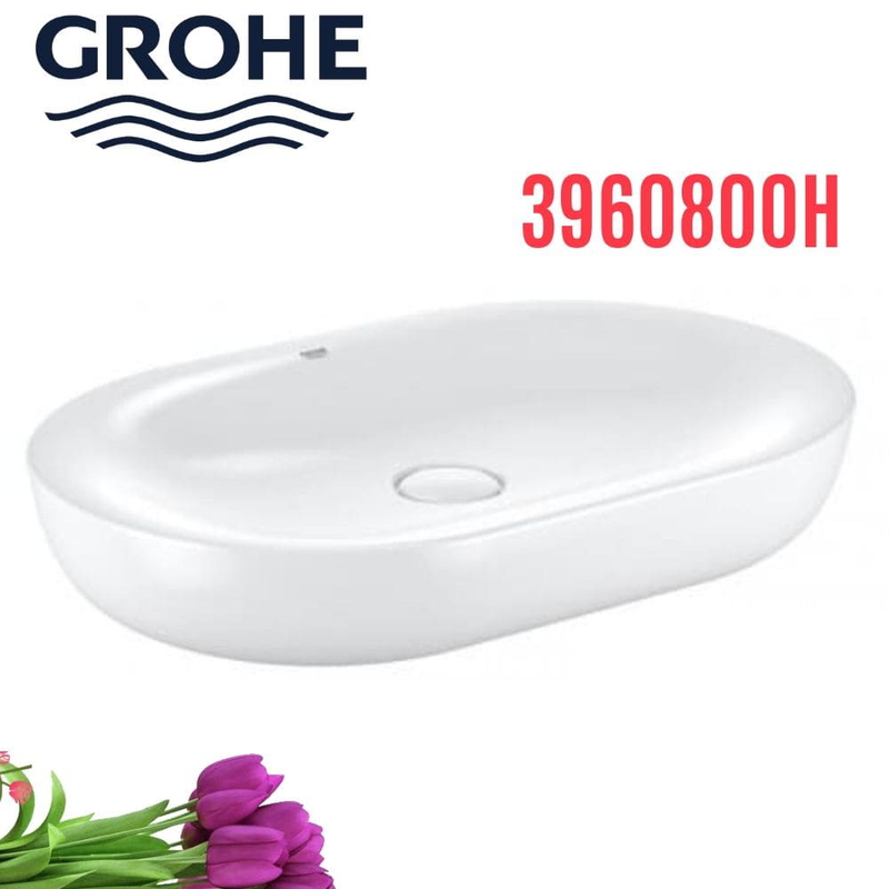 Chậu rửa lavabo Grohe 3960800H dương bàn
