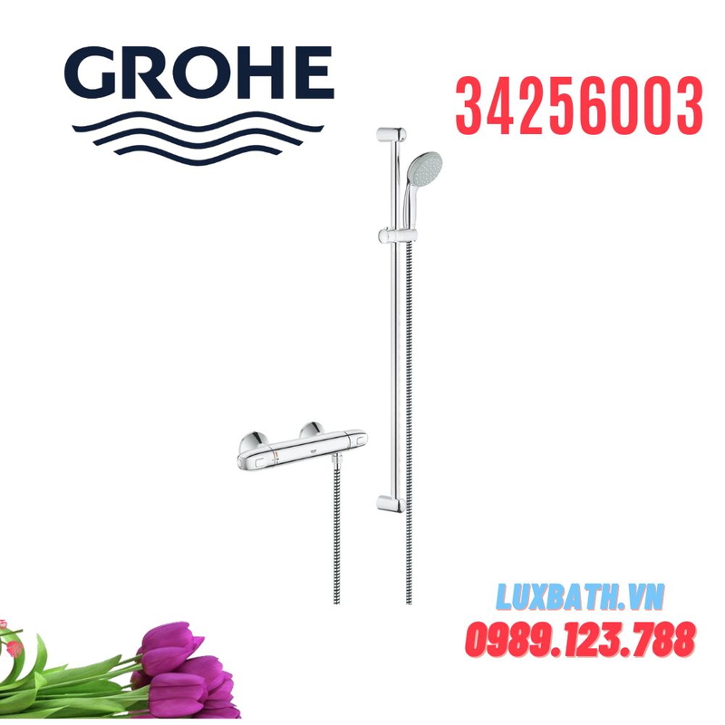 Sen tắm thường Grohe 34256003