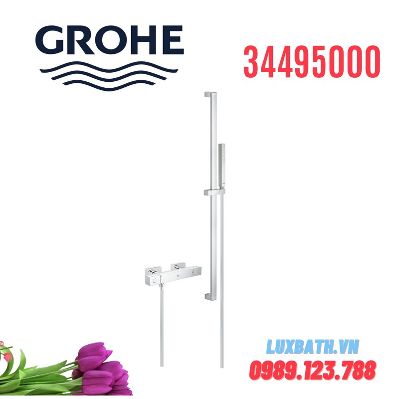 Sen tắm thường Grohe 34495000