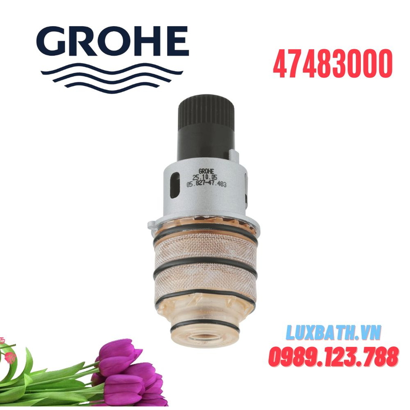 Van Ổn Nhiệt Đức Grohe 47483000