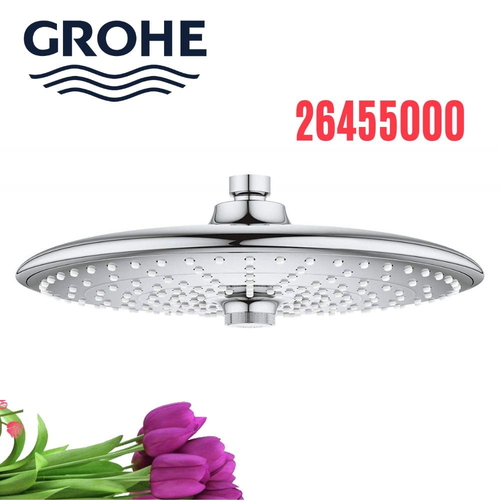 Bát Sen Tắm Gắn Trần Đức Grohe 26455000