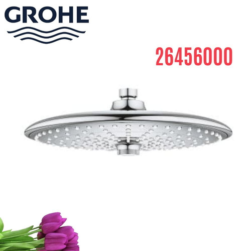 Bát Sen Tắm Gắn Trần Đức Grohe 26456000