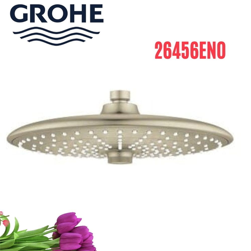 Bát Sen Tắm Gắn Trần Đức Grohe 26456EN0