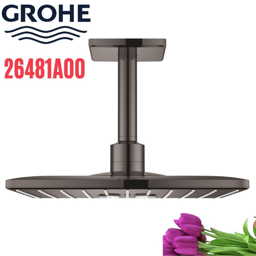 Bát Sen Tắm Gắn Trần Đức Grohe 26481A00