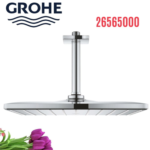Bát Sen Tắm Gắn Trần Đức Grohe 26565000