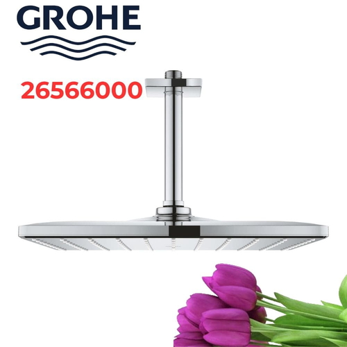 Bát Sen Tắm Gắn Trần Đức Grohe 26566000