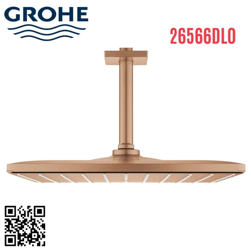 Bát Sen Tắm Gắn Trần Đức Grohe 26566DL0