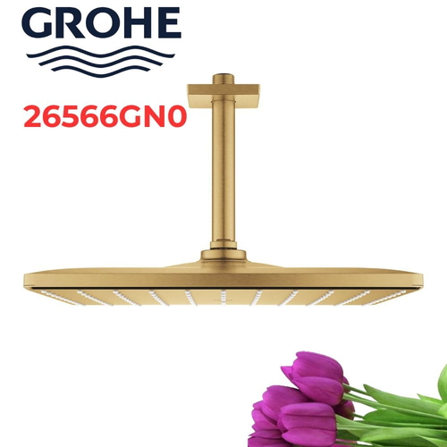 Bát Sen Tắm Gắn Trần Đức Grohe 26566GN0