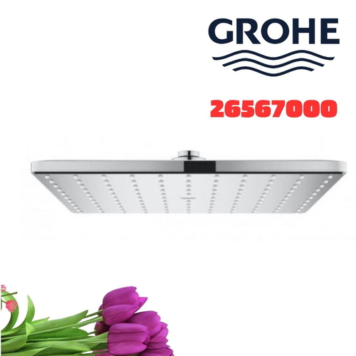 Bát Sen Tắm Gắn Trần Đức Grohe 26567000