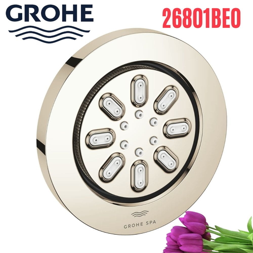 Bát Sen Tắm Gắn Trần Đức Grohe 26801BE0