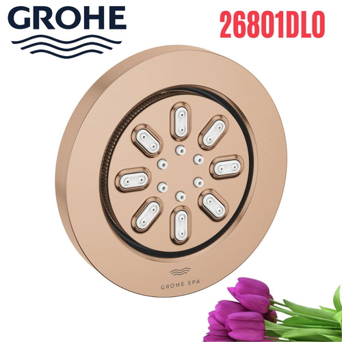 Bát Sen Tắm Gắn Trần Đức Grohe 26801DL0