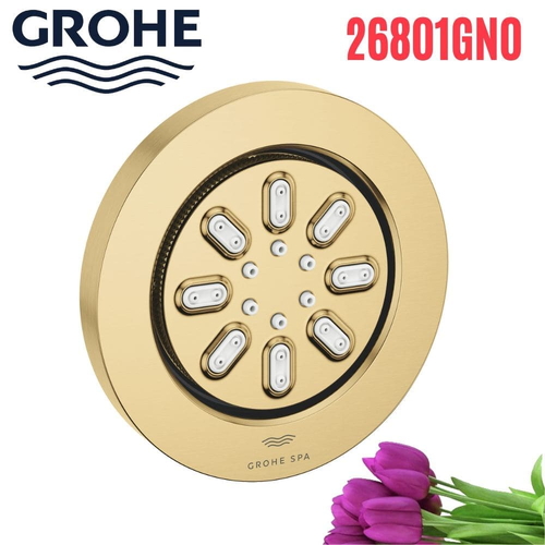 Bát Sen Tắm Gắn Trần Đức Grohe 26801GN0