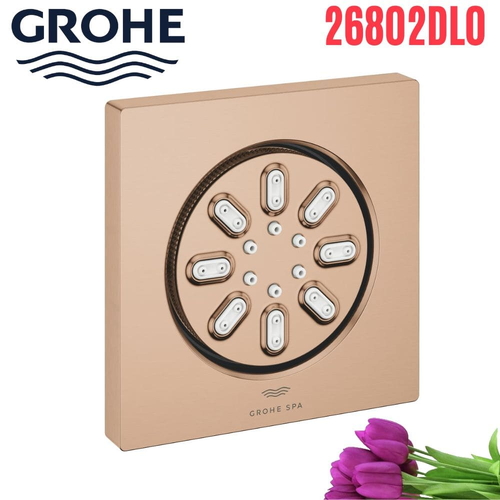 Bát Sen Tắm Gắn Trần Đức Grohe 26802DL0