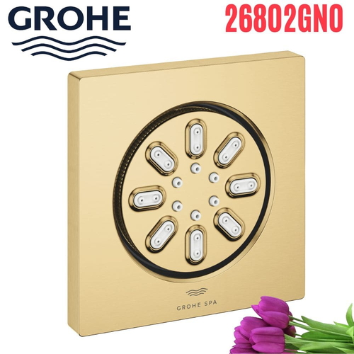 Bát Sen Tắm Gắn Trần Đức Grohe 26802GN0