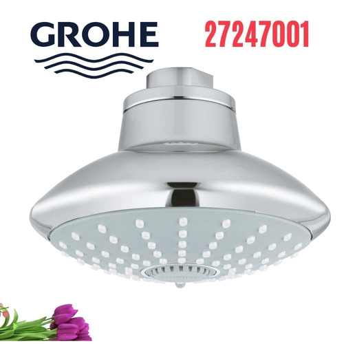 Bát sen nóng lạnh gắn trần Grohe 27247001