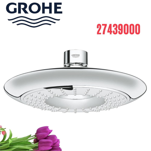Bát Sen Tắm Gắn Trần Đức Grohe 27439000