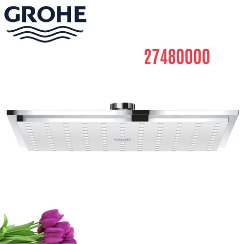 Bát Sen Tắm Gắn Trần Đức Grohe 27480000
