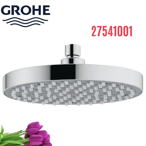 Bát Sen Tắm Gắn Trần Đức Grohe 27541001