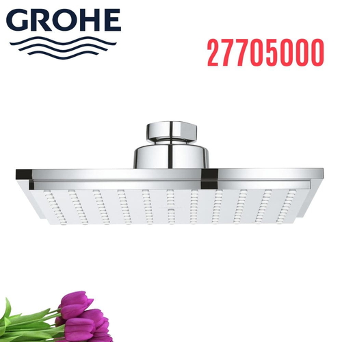 Bát Sen Tắm Gắn Trần Đức Grohe 27705000