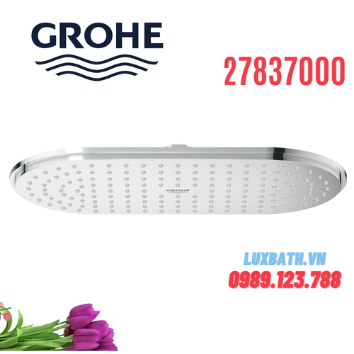 Bát Sen Tắm Gắn Trần Nhập Khẩu Đức Grohe 27837000