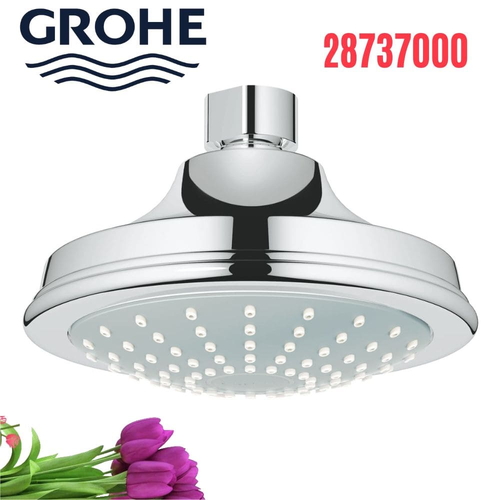 Bát Sen Tắm Gắn Trần Đức Grohe 28737000