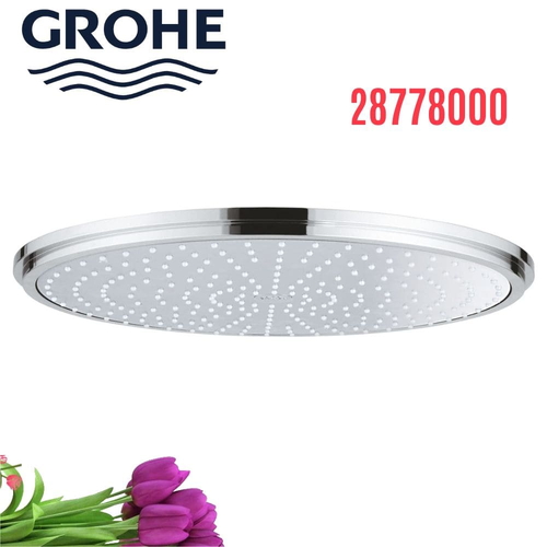 Bát Sen Tắm Gắn Trần Đức Grohe 28778000