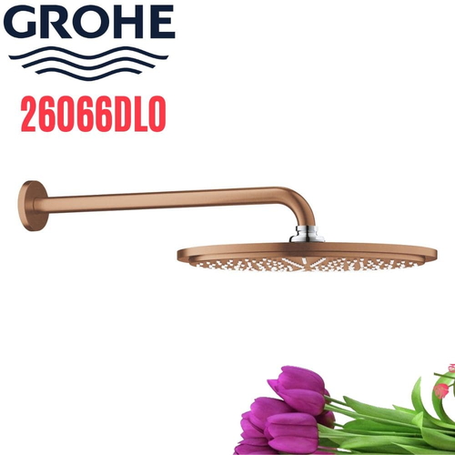 Bát Sen Tắm Gắn Tường Đức Grohe 26066DL0
