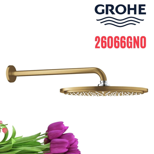 Bát Sen Tắm Gắn Tường Đức Grohe 26066GN0