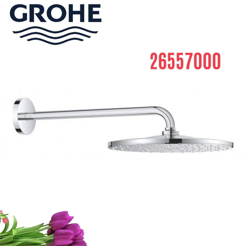Bát Sen gắn tường Đức Grohe 26557000