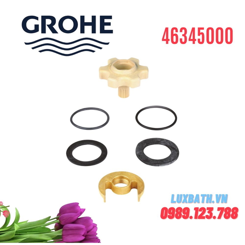 Bộ Giá Đỡ Chân Nhập Khẩu Đức Grohe 46345000