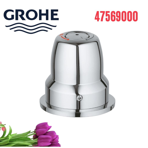 Tay Điều Chỉnh Nhiệt Độ Đức Grohe 47569000