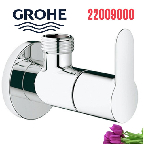 Van khóa nước Grohe 22009000