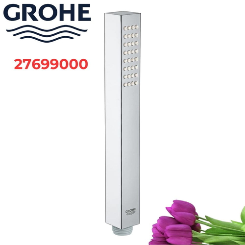 Vòi sen cầm tay Grohe 27699000